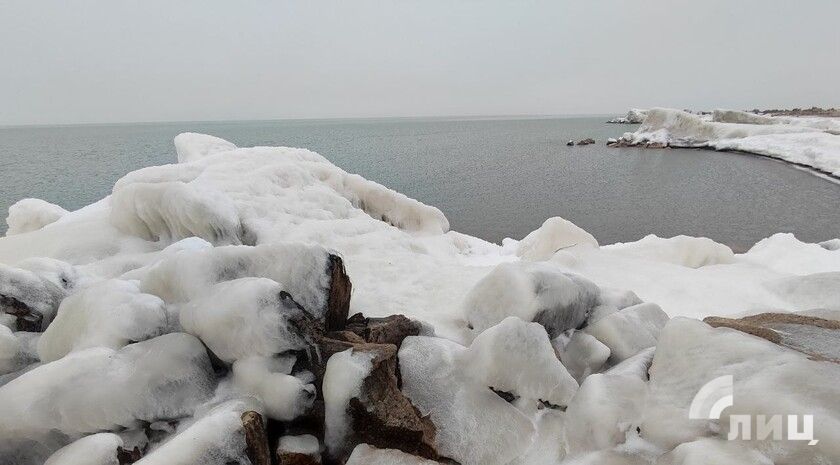 ������� ��������� ���������� ������� ������������� �������� � ����������� ����