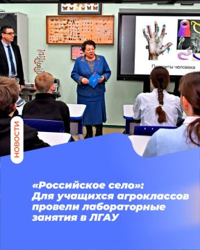 ����������� ����: ��� �������� ����������� ������� ������������ ������� � ����