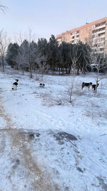 ��������� ������ ������!. �������� ���� �������� �� �������� ���������� ������ ��������� � ������������ ������