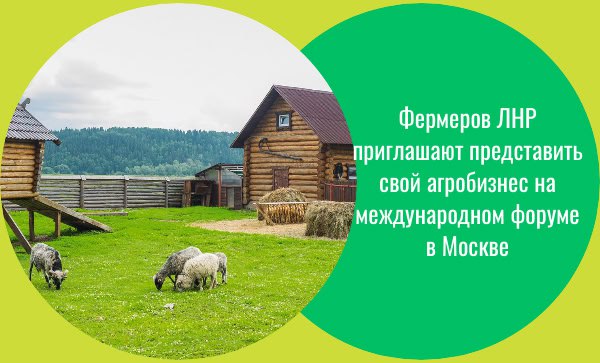 Сельхозпроизводителей ЛНР приглашают представить агробизнес на форуме «Путешествуй!»