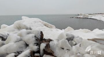 ������� ��������� ���������� ������� ������������� �������� � ����������� ����