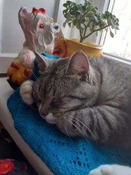 5 ����� �� ���������� ��������� �������� ���������� ����� ������� � ������������