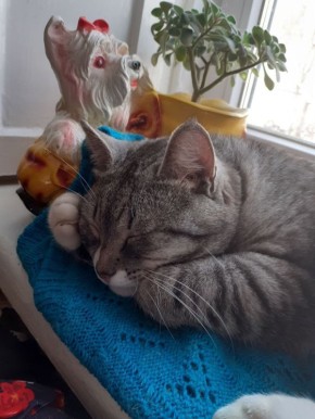 5 марта на территории Луганской Народной Республики будет облачно с прояснениями