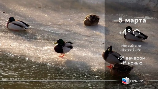 ������ ����, ��������� �������� ����������!