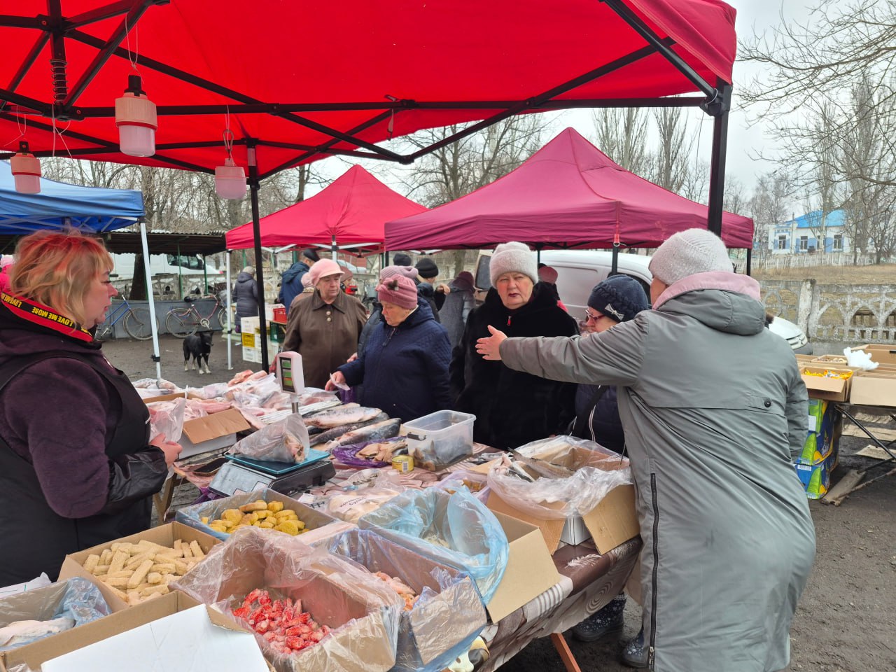 В рамках организации мероприятий, направленных на пресечение фактов несанкционированной реализации живых животных и животноводческой продукции в неустановленных местах и без ветеринарных сопроводительных документов...