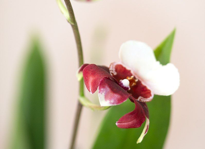 20 ���������������� �������� ����� �� ������ � �������� ������� � 8 �����