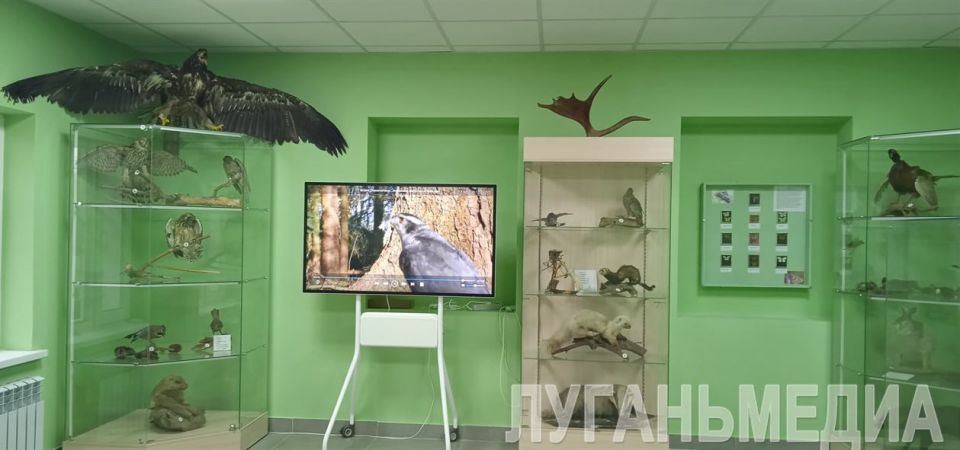 Краеведческий музей Беловодска открыли после капитального ремонта