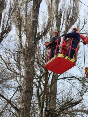 ������-��� ������������ ������ ������������� ������������� ������