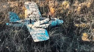 ���� ��� ������ � ������ ����� 124 ���������� ������������