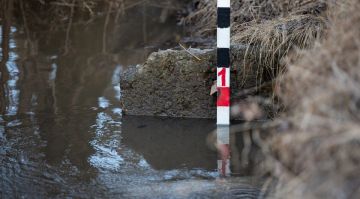 ������� ������ � ���� ���������� � 13 ����������� ������ �������� ������������� � ���������� �������� � ���, �������� �����-������ �������� ���������� ��� ������ �� ����������