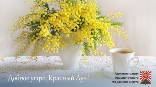 ������ ����, ������������ !