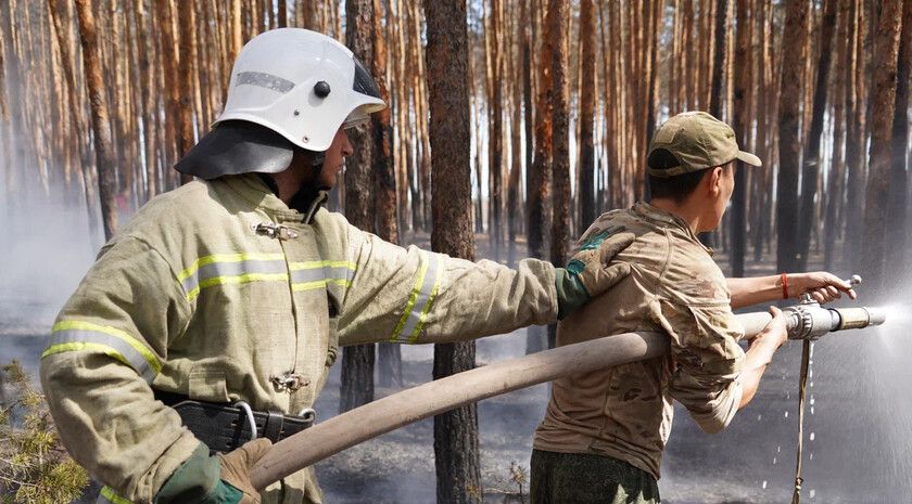 ��������� ��������� ���� �������� ��� ���������� ����������� ���������� ������������