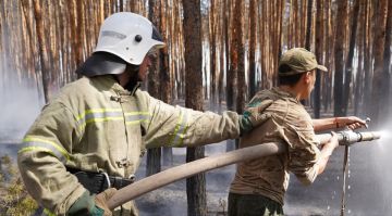 ��������� ��������� ���� �������� ��� ���������� ����������� ���������� ������������