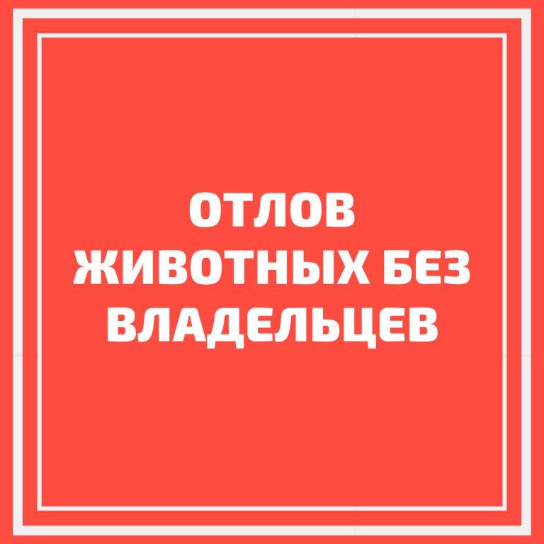 ��������� ������!. ���������� �������� ����������� �� ������������� ����������� ������������ �������� (����)