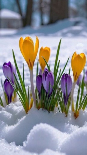 � ������ �����!. ������� 5 �����, �������! ����� ���� ���� ������� ��� ��������� ����������, ������� �������� � ����� �� ���� �����