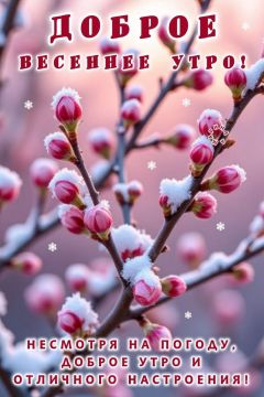 ������ ����, �������!. ������� ������� � ����, ����� ��� �������� ���������� � ����������� ��������