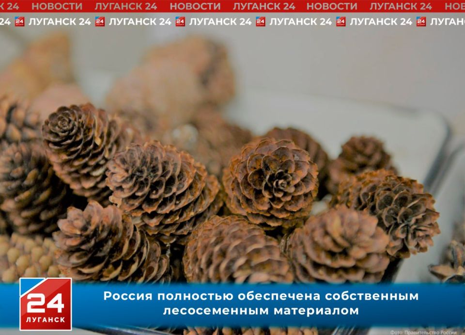 ������ ��������� ���������� ����������� ������������ ���������� �� ������� ���