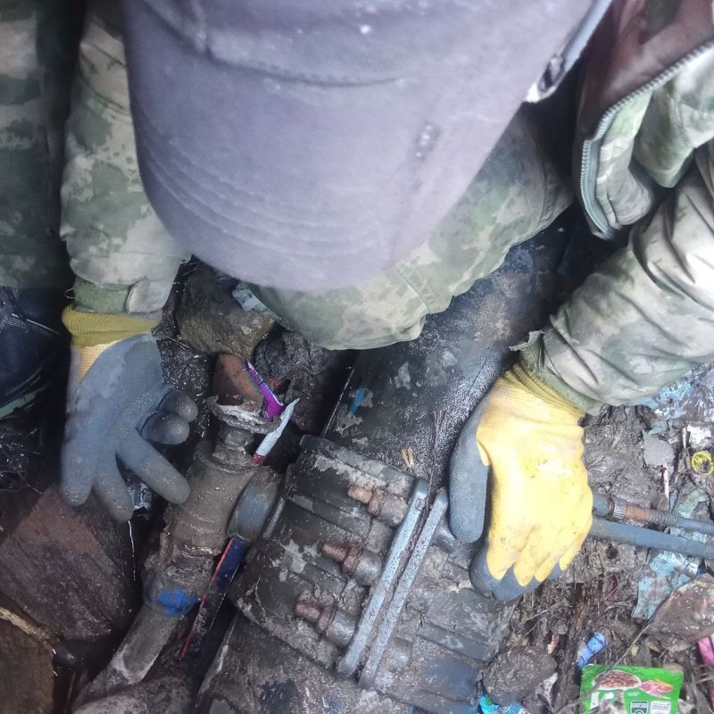 ��������� ��� ����� "���������������" ������� �������� ��������-����������������� ����� �� �������� ������������� � �������������