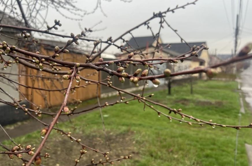 ����� ������ ��� ���� 6 �����