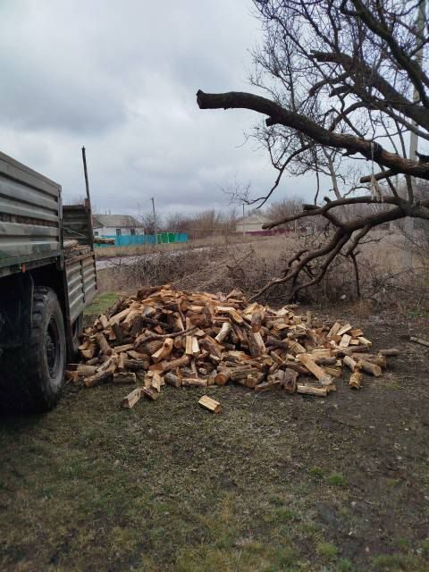 В преддверии Международного женского дня представители партии «Единая Россия» из поселка Поречье посетили семью погибшего на специальной военной операции (СВО) Максима Солошенко