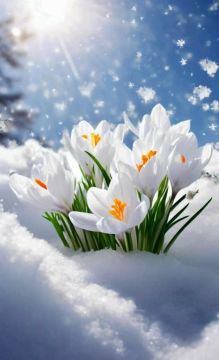 � ������ �����!. ������� 6 �����, �������! ����� ��� ���� ����� �������� ������, �������� � ��������� ����������