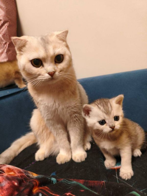 8 ����� �� ���������� ��������� �������� ���������� �������������� ���������� ����������