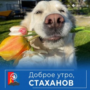 ������� �������, �����. ������ ���� ��������� ���������� � �������� �� �� ���