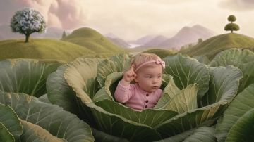 ��������� � ����� ������ ������������ ��������� �������