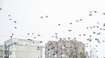 ��������� ������������ 8 ����� � ��� �� 9 �������� �����