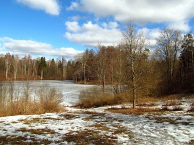 � ������ �����!. ������� 7 �����, �������! ����� ��� ������� �������� � ������ � �������� ����������