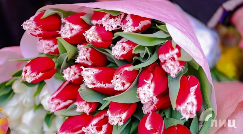 ��������� ������������ 9 ����� � ��� �� ���� �������� ������ ����� �� 12 �������� ����� ���� � �����-������ �������� ���������� ��� ������ �� ���