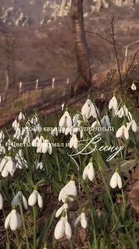 � ������ ����������� �����, ������ �������������� ������! ����� ���� ���� ����� �������� ���������� ��������� � ������ ������!