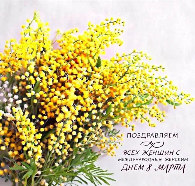 ������� ��������: ��������� ���������� ��������-���������� ������!