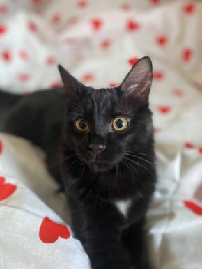 9 ����� �� ���������� ��������� �������� ���������� �������������� ���������� ����������