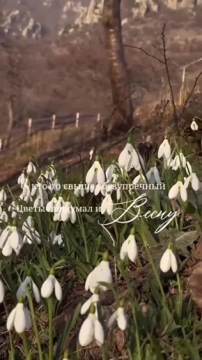 � ������ ����������� �����, ������ �������������� ������! ����� ���� ���� ����� �������� ���������� ��������� � ������ ������!