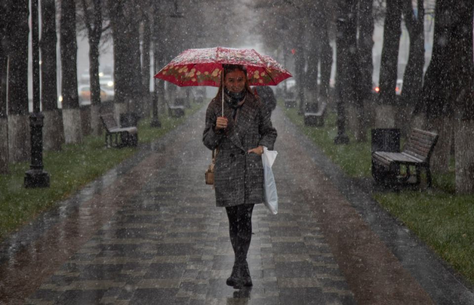 � ��� � �����������, 9 �����, ��������� �� 12 �������� �����