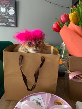 10 ����� �� ���������� ��������� �������� ���������� �������������� ���������� ����������