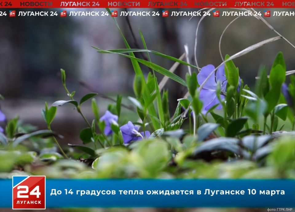 �� 14 �������� ����� ��������� ������ � ��������