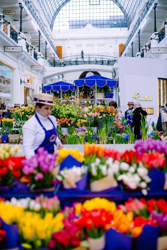 ������ ����!. �������� ������ � ��������� ������ �������! ������ � ���������� ���! ���������� ������ � ������ �������������� �� ������ � ��� � Telegram