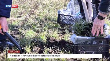 �� ����� ��� ��������� ��������� ������ � �������� News Front