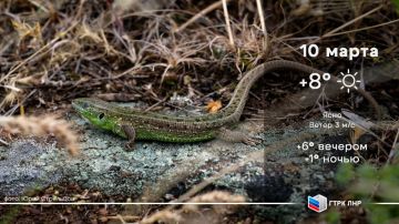 ������ ����, ��������� �������� ����������!