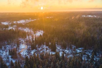 �� ���� ����� � ��� ������� ���� ����������� ���� ����������� �������