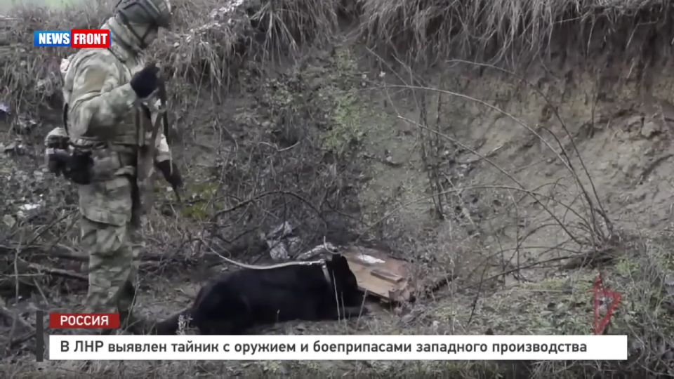 В ЛНР выявлен тайник с оружием и боеприпасами западного производства