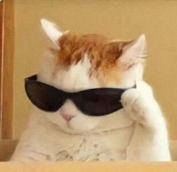 ������������� ���� �������� ���������� �������