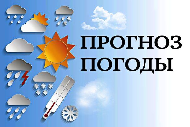 �� ������ ���� ����������� �� ����������������� � ����������� ���������� ����� �� ��������� �������� ���������� 11 ����� �� ���������� ��������� �������� ���������� ���������� ����������