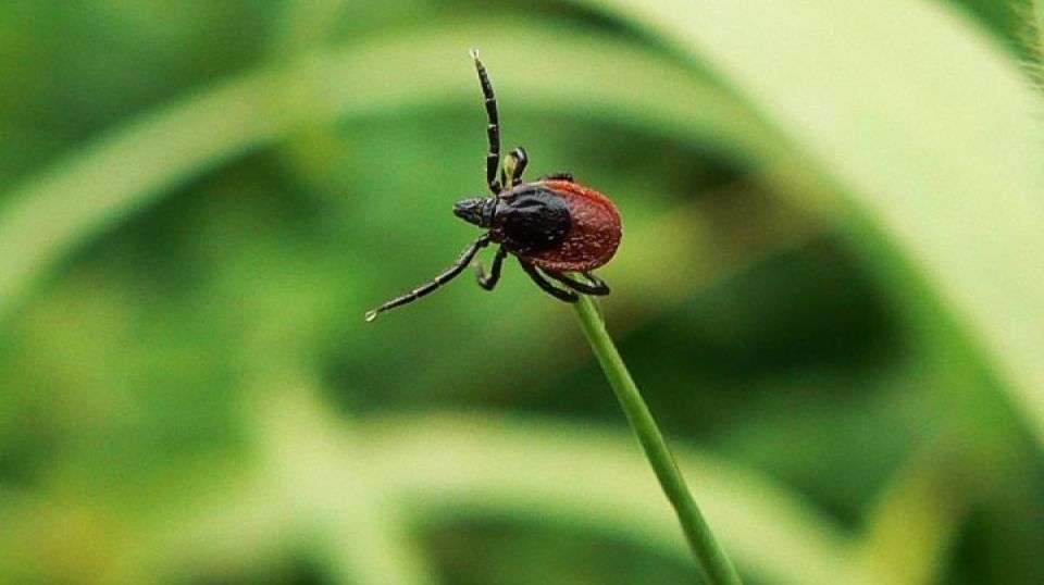 ��������� �������� � ������� �����: ��� ��� ����� �������� �����?