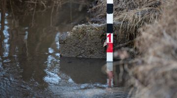 ��� ���� ������� ������ �������� � ���������� ������� � ��Р� ���