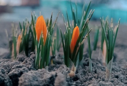 ����� ����� ������ 11 ����� � ���