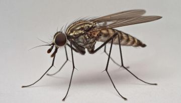 �������� ��������� ������� � ������