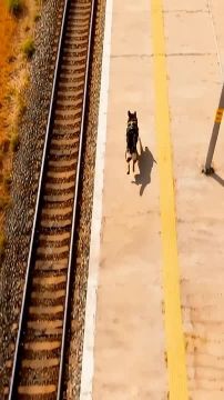 �������� ������ - �� ����� ��� ���! ��� ����� - � ���������!